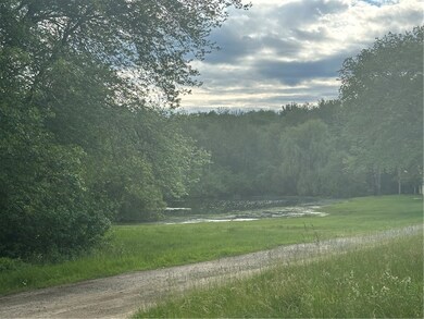 View of small pond