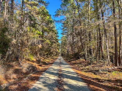 000 Forest Service Road 527, Apple Springs, TX 75926 - photo 5