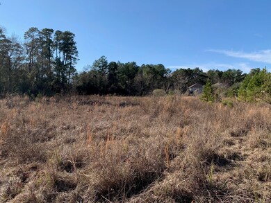 33169 Wedgewood Dr, Magnolia, TX 77354 - photo 3