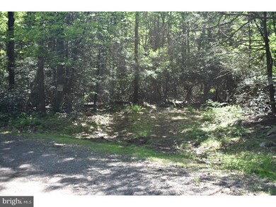 0 Summer Mountain Rd unit 1001713262, New Ringgold, PA 17960 - photo 6