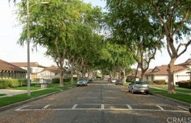Tree lined street