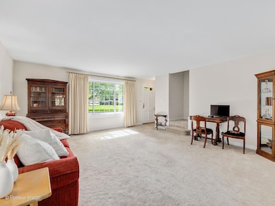 133 Fellows Ct, Elmhurst, IL 60126 - photo 3