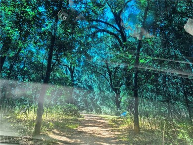 1156 Snows Ln SE, Darien, GA 31305 - photo 4