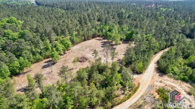 1602 Hulmes Chapel Rd, Elberton, GA 30635 - photo 6