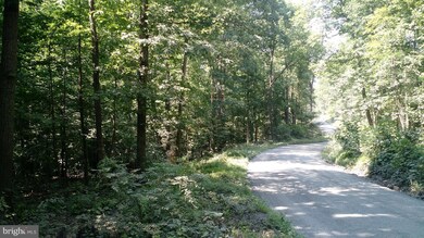 LOT 2D Venus Branch Rd, Shenandoah, VA 22630 - photo 4