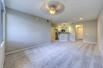 Living - Dining Room