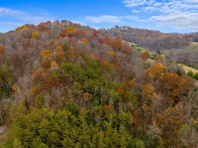 0 Broken Valley Rd unit 707823, Thorn Hill, TN 37881 - photo 7