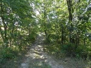Tobin-40 Acres (2)
