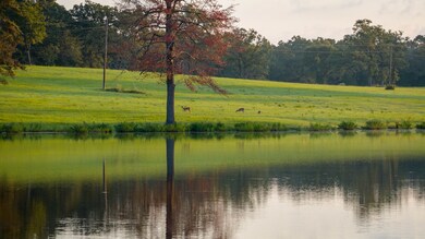 1577 County Road 431, Tennessee Colony, TX 75861 - photo 5