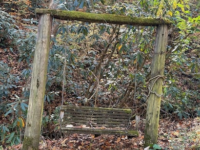 82 Merry Cove Rd, Sylva, NC 28779 - photo 5