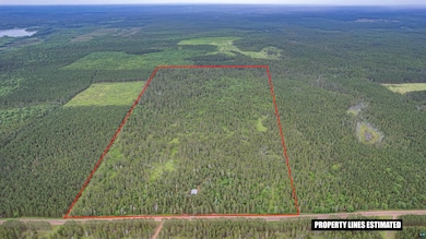Aerial view of property and surrounding area with a forest and property parcel outlined