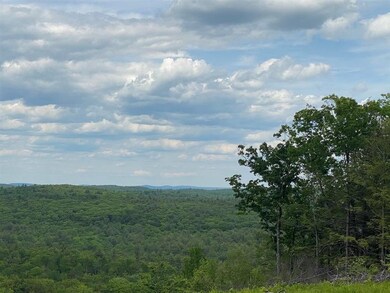 0 Old Swanzey Rd unit Map 18 Lot B004, Chesterfield, NH 03462 - photo 2