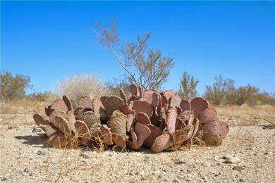 0 Moonlight Mesa Ave unit JT24234949, Joshua Tree, CA 92252 - photo 3