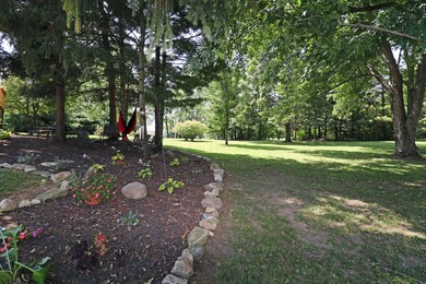IMG_4617_edited-1