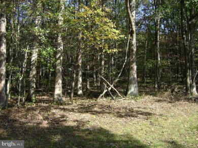 0 Owl Creek Rd unit 1002156894, Schuylkill Township, PA 18252 - photo 6