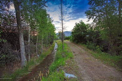 Millman_20180811_9808-smllcrp