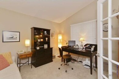 3051 Elaine Ct unit 213, Flossmoor, IL 60422 - photo 5