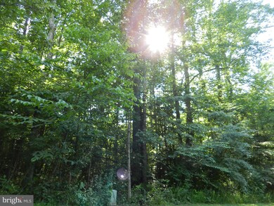 4 Hart, Culpeper, VA 22701 - photo 5