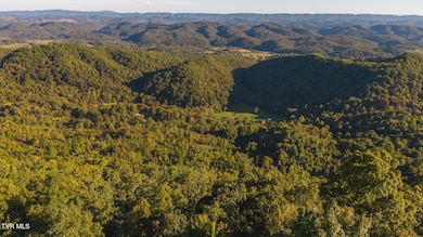 0 Black Valley Rd unit 9988388, Sneedville, TN 37869 - photo 6