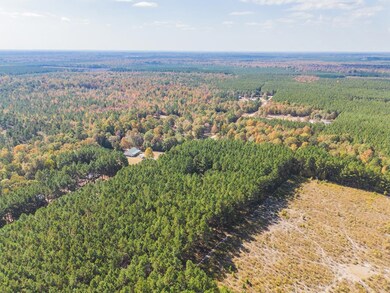 336 Grant County 676, Grapevine, AR 72057 - photo 3