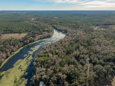 85 Saint Marks Rise Rd, Crawfordville, FL 32327 - photo 4