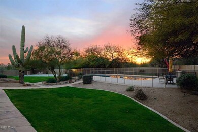 Night-Backyard-Pool