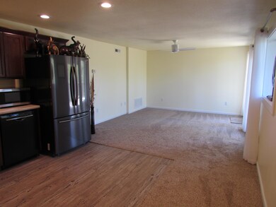 Living/kitchen