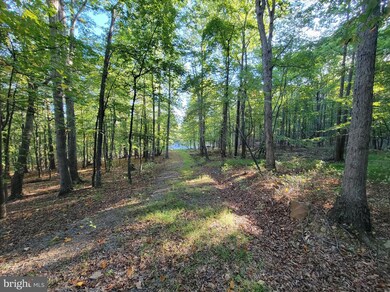 51 Parkside Terrace, Berkeley Springs, WV 25411 - photo 3