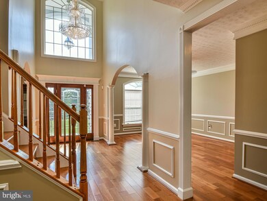 1101 Snider Ln, Silver Spring, MD 20905 - photo 7