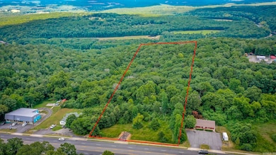 1639 Highway 65 S, Clinton, AR 72031 - photo 2