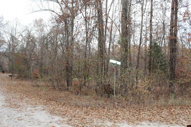 63 Flintridge Ct, Mountain Home, AR 72653 - photo 5