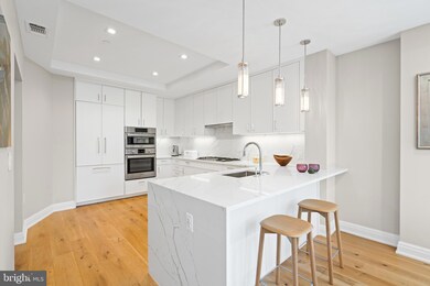 Ritz-Carlton Residences unit 313, Chevy Chase, MD 20815 - photo 7