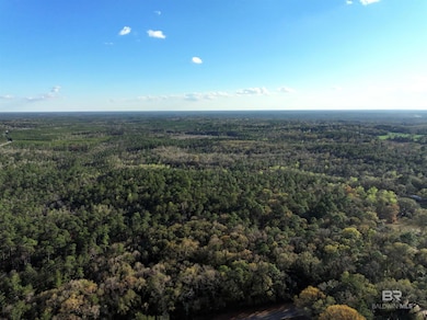 0 Dogwood Fork Rd unit 358700, Bay Minette, AL 36507 - photo 7