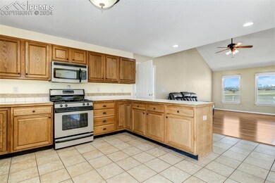 13518 Halleluiah Trail, Elbert, CO 80106 - photo 5