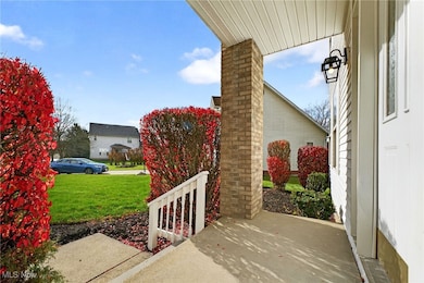 6724 Larch Ct, Bedford, OH 44146 - photo 4