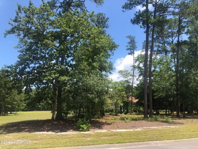 580 Lindgrove Place SW, Ocean Isle Beach, NC 28469 - photo 2