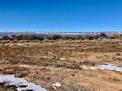 Lot 9 Summit Ct, Cedaredge, CO 81413 - photo 4