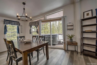 492 Kimmes Ln, Breckenridge, CO 80424 - photo 6