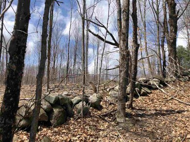 47 Mount Dearborn Rd, Weare, NH 03281 - photo 5