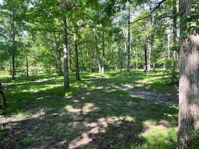 307 Henderson Rd, Shelbyville, TN 37160 - photo 3