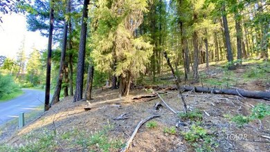 trail up into property