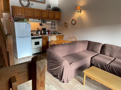 36 Lodge Rd unit A306, Lincoln, NH 03251 - photo 5