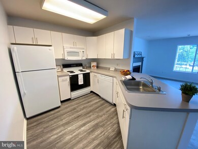 21 Tintern Ct unit 201, Lutherville Timonium, MD 21093 - photo 5