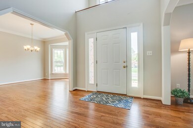 79 Northampton Blvd, Stafford, VA 22554 - photo 4