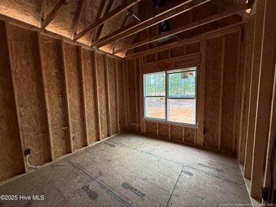 1017 Ivory Ln, West End, NC 27376 - photo 4