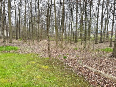 617 County Road 801, Ashland, OH 44805 - photo 5