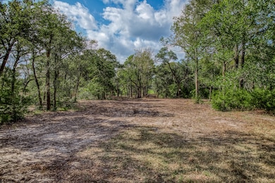 Tract 2 Sun Oil Rd, Brenham, TX 77833 - photo 5