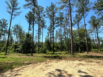 Burke Lots 11