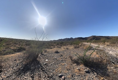 Unnamed Access Dirt Rd, Yucca, AZ 86438 - photo 4
