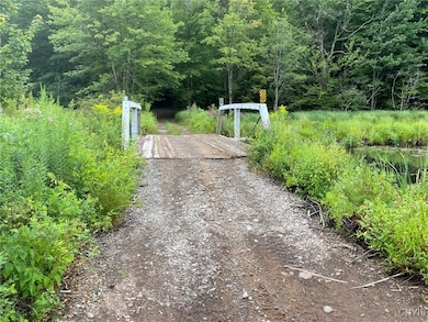 0 Fisherman S Bridge Rd unit S1636074, Williamstown, NY 13493 - photo 5